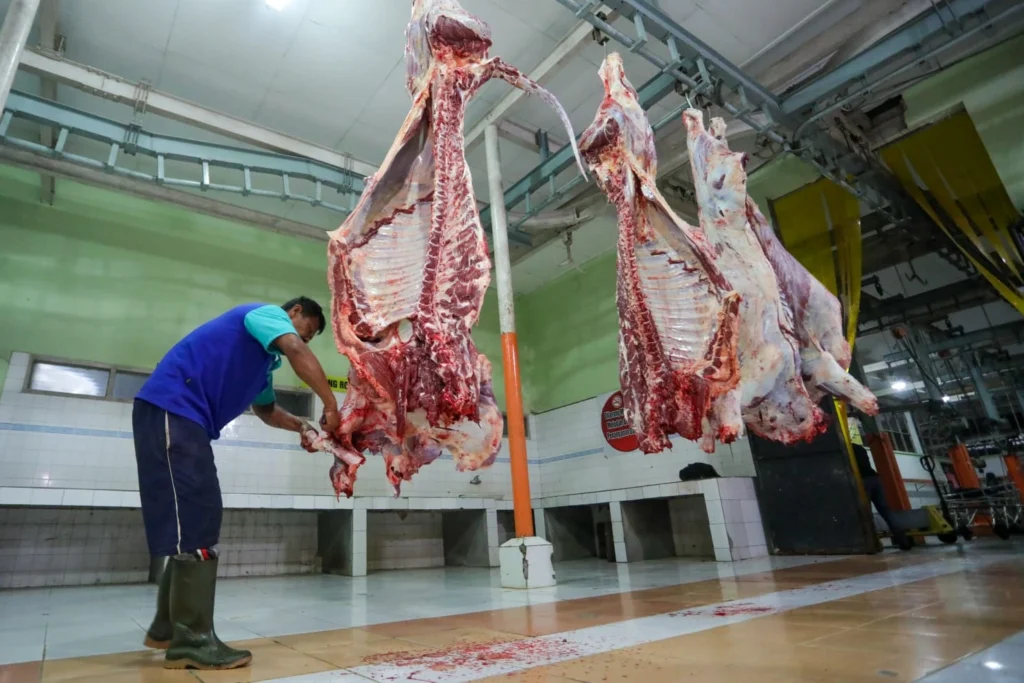 Izin Rumah Potong Hewan: Syarat, Biaya, dan Prosedur Lengkap